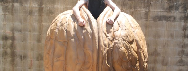 Giant Walnut