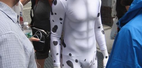 Dalmatian suit