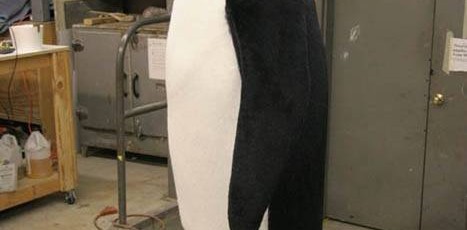 penguin