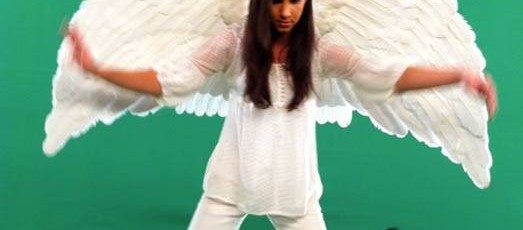 white wings