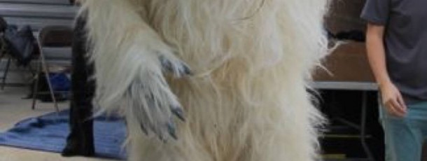 Yeti suit