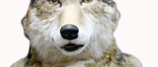 animatronic Wolf mask
