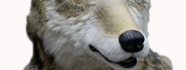 animatronic Wolf mask