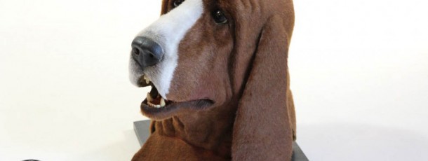 Basset dog mask