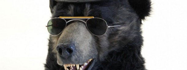 Bear mask