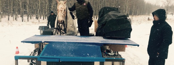 The Revenant Horses