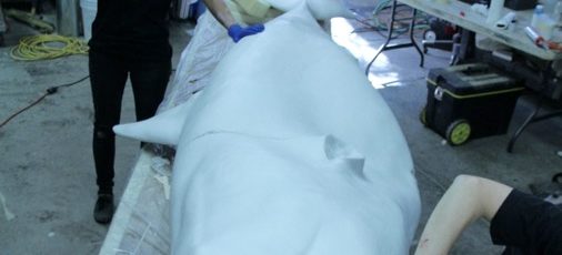 Great White Shark