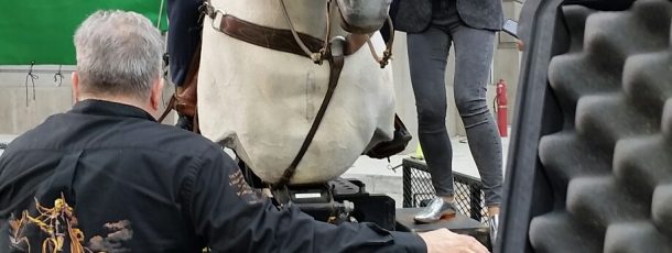 Mechanical White Horse