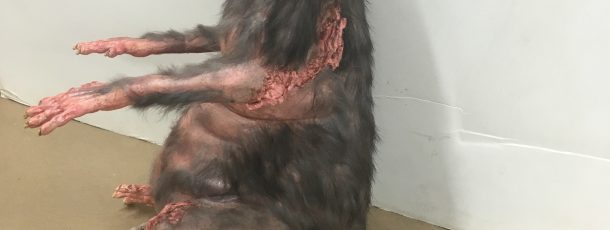 Monster Rat