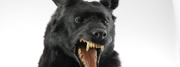 German Shepherd Animatronic