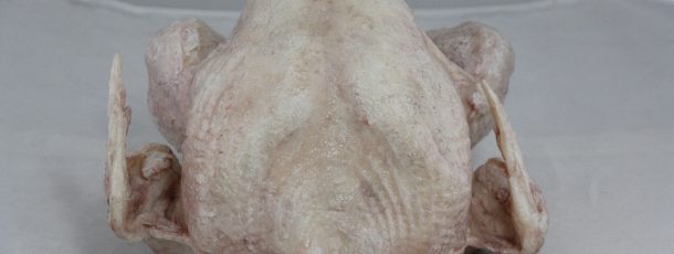 Raw turkey