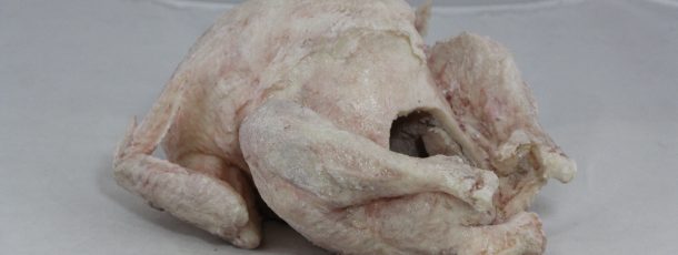Raw turkey
