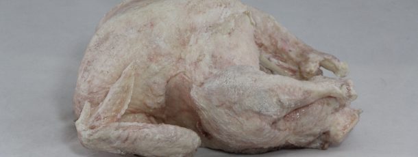 Raw turkey