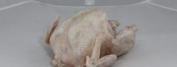 Raw turkey