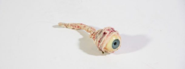 Gouged Eyeball