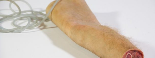 Hollow Arm with Tubing